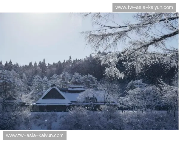 樱花烂漫时，遇见雪国之约——新潟的另一面诱惑